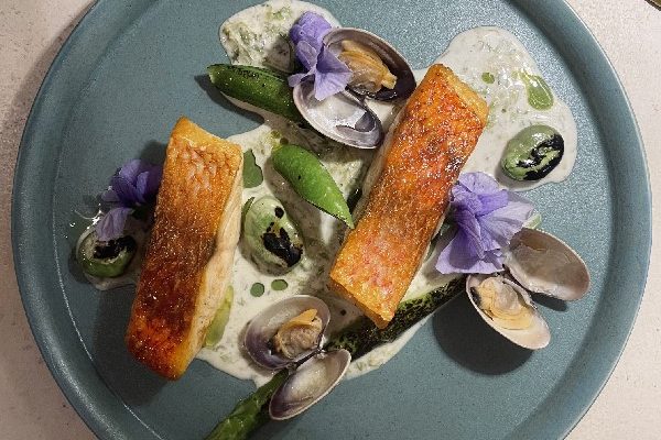 【MAIN】尾長鯛のポワレ、大アサリのジュと岩のりのヴァンブランソースの画像